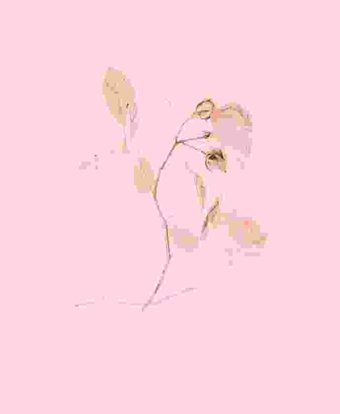 Wild Flower Art